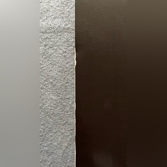 Tampa Bay Rays Skateboard Deck Raymond Mascot Bally Sports 31x7.75” Rare MLB - Picture 8 of 10